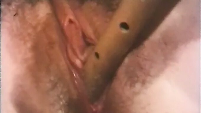 Bisexual Blowjobs: Classic Fucking And Vintage Blowjobs