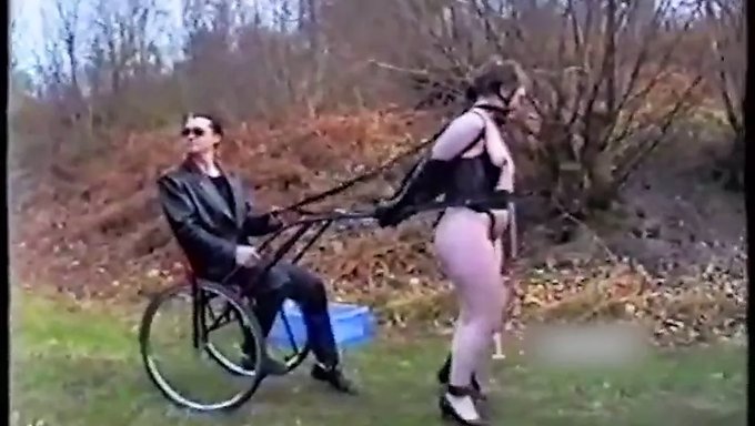 Ponygirl Training: A Bdsm Exercise For Submissive Girls