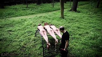Rough Bdsm...