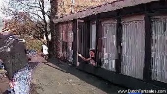 Wild Dutch...