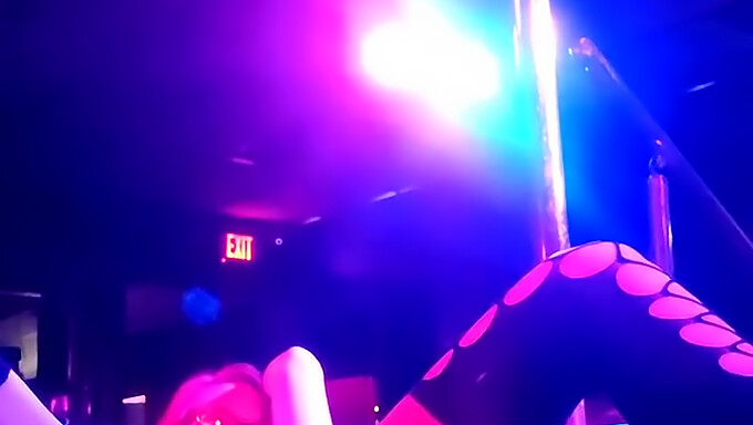 Las Largas Piernas De La Stripper Americana En Exhibición En Medias De Red