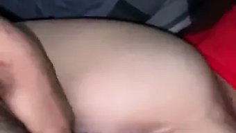 Amateur Gi...