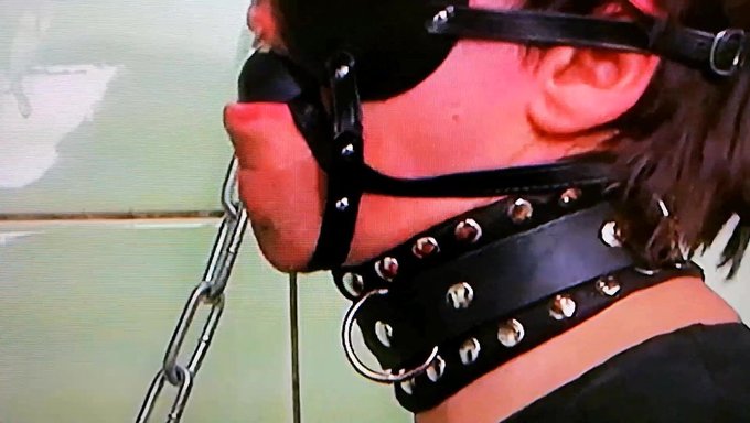Mini Dick And Testicles Bound For Intense Pleasure