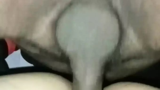 Young And Mature Women In Hardcore Standing Screw