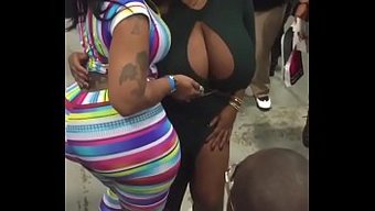 Tits On Di...