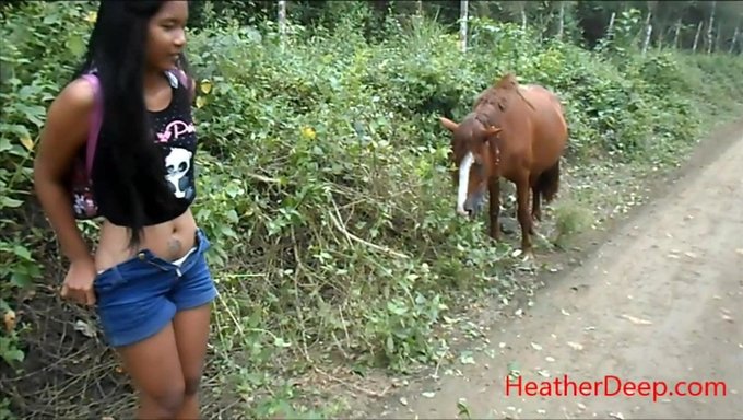 Peeing Next To A Horse In The Jungle - Hd Mobile Video