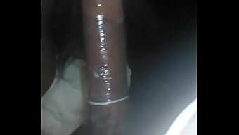 Black Beau...