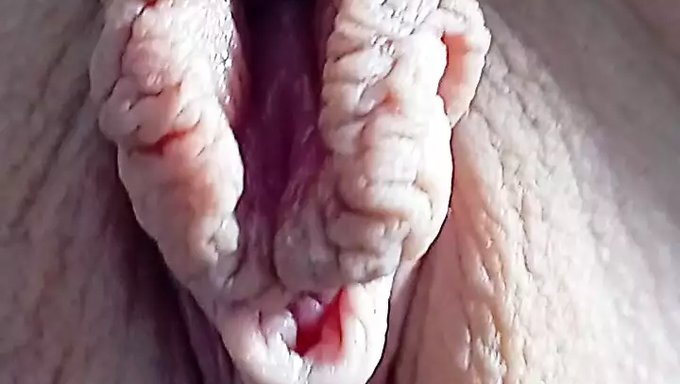 Bisexual Beauty Enjoys A Tight Pussy Facesiting