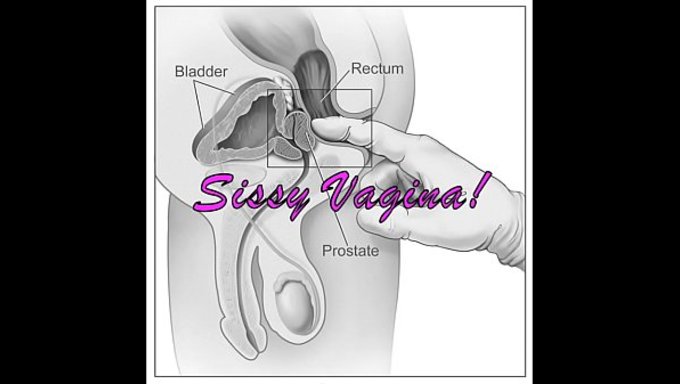 Beautiful Shemale'S Submissive Sissy Roleplay Is Spot On.
