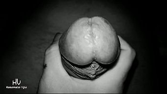 Amateur Wi...